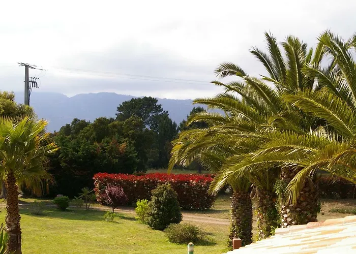 U Re D' Alzettu Apartment Porto-Vecchio (Corsica)